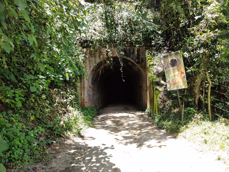 Overgrown tunnel of the old railway