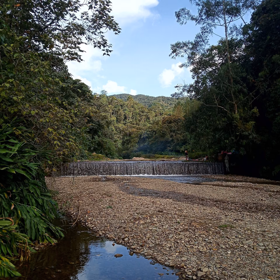 Der junge Río Medellín im Wald oberhalb der Stadt