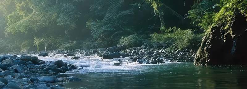 Klares Wasser und Felsen am Oberlauf des Río Medellín